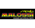 Malossi